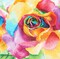 DIAMOND ART BY LEISURE ARTS Rainbow Roses, 12"x12", Intermediate Diamond Painting Kits for Adults, Diamond Art for Adults, Diamond Art Kit, Diamond Art Painting